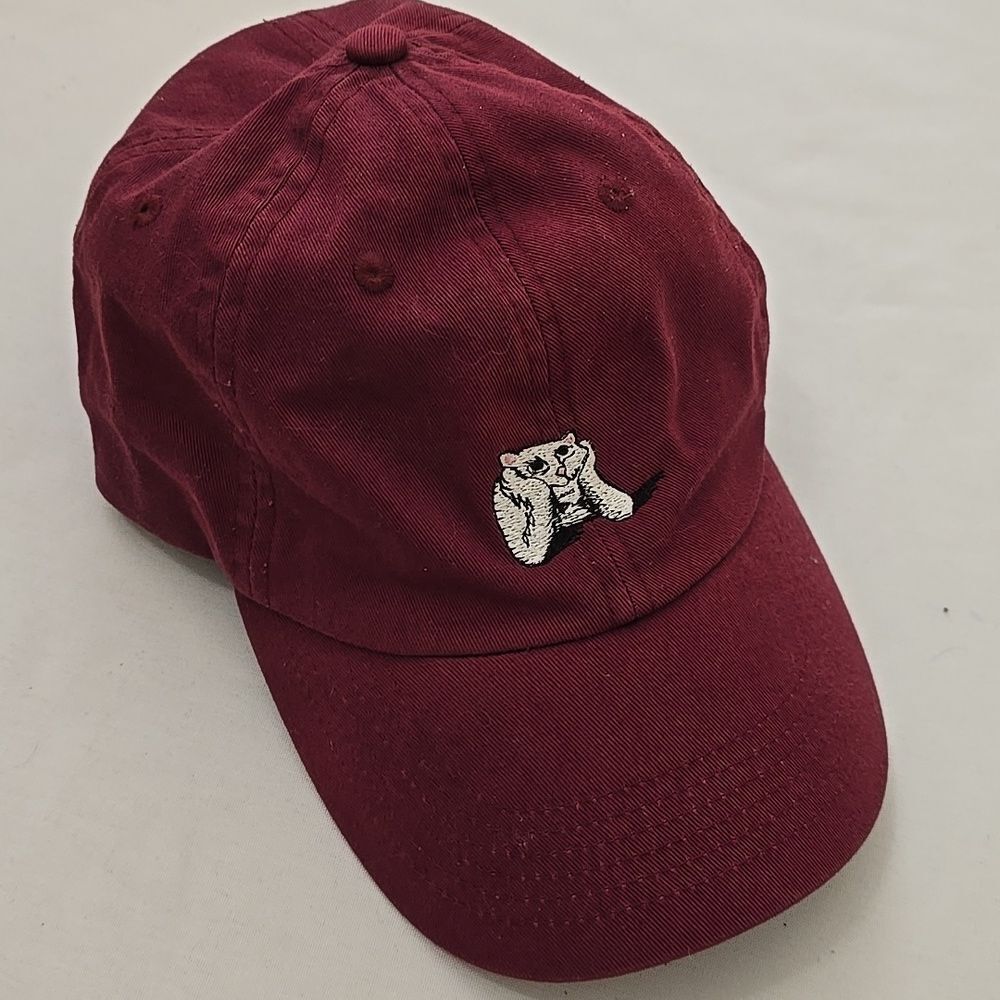 Ripndip‎ Splash wine strap back dad hat